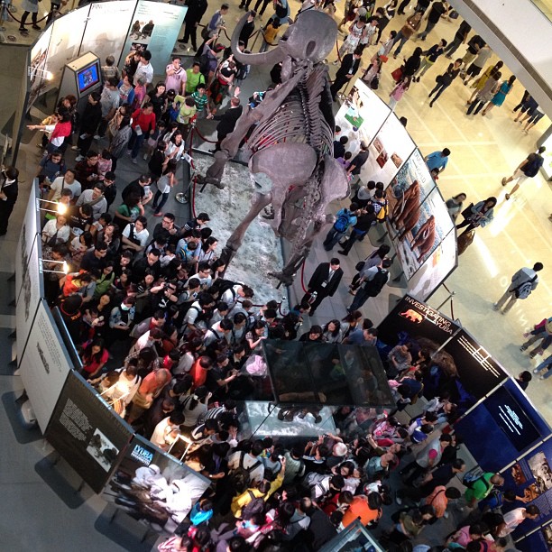 Still so many checking out the Mammoth display